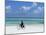 A Man Riding His Bicycle of Kiwengwa Beach, Island of Zanzibar, Tanzania, East Africa, Africa-Yadid Levy-Mounted Photographic Print