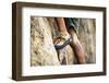 A Man's Climbing Shoe in Low Depth of Field at Granite Point in Eastern Washington-Ben Herndon-Framed Photographic Print