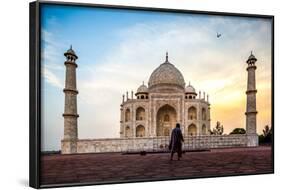 A Man Stands In Fron To F The Taj Mahal With Bird In Flight-Lindsay Daniels-Framed Photographic Print