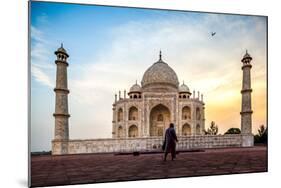 A Man Stands In Fron To F The Taj Mahal With Bird In Flight-Lindsay Daniels-Mounted Photographic Print
