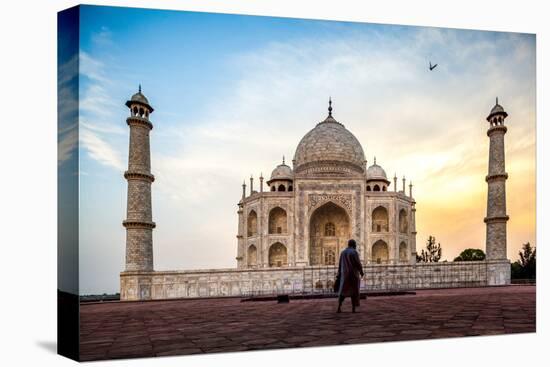 A Man Stands In Fron To F The Taj Mahal With Bird In Flight-Lindsay Daniels-Stretched Canvas