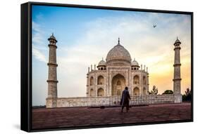 A Man Stands In Fron To F The Taj Mahal With Bird In Flight-Lindsay Daniels-Framed Stretched Canvas