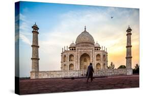 A Man Stands In Fron To F The Taj Mahal With Bird In Flight-Lindsay Daniels-Stretched Canvas