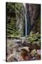 A Man Stands under Cachoeira Fumacinha Waterfall in Chapada Diamantina National Park-Alex Saberi-Stretched Canvas