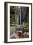 A Man Stands under Cachoeira Fumacinha Waterfall in Chapada Diamantina National Park-Alex Saberi-Framed Premium Photographic Print