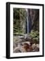 A Man Stands under Cachoeira Fumacinha Waterfall in Chapada Diamantina National Park-Alex Saberi-Framed Photographic Print