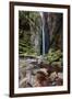 A Man Stands under Cachoeira Fumacinha Waterfall in Chapada Diamantina National Park-Alex Saberi-Framed Photographic Print