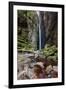 A Man Stands under Cachoeira Fumacinha Waterfall in Chapada Diamantina National Park-Alex Saberi-Framed Photographic Print
