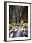 A Man Stands under Cachoeira Fumacinha Waterfall in Chapada Diamantina National Park-Alex Saberi-Framed Photographic Print