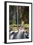 A Man Stands under Cachoeira Fumacinha Waterfall in Chapada Diamantina National Park-Alex Saberi-Framed Photographic Print