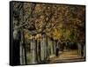 A Man Strolls Through Lazienki Park on a Crisp Autumn Morning in Warsaw, Poland, October 30, 2006-Czarek Sokolowski-Framed Stretched Canvas