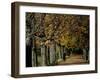 A Man Strolls Through Lazienki Park on a Crisp Autumn Morning in Warsaw, Poland, October 30, 2006-Czarek Sokolowski-Framed Premium Photographic Print