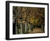 A Man Strolls Through Lazienki Park on a Crisp Autumn Morning in Warsaw, Poland, October 30, 2006-Czarek Sokolowski-Framed Premium Photographic Print