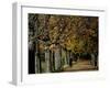 A Man Strolls Through Lazienki Park on a Crisp Autumn Morning in Warsaw, Poland, October 30, 2006-Czarek Sokolowski-Framed Premium Photographic Print