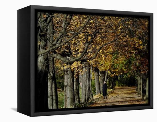 A Man Strolls Through Lazienki Park on a Crisp Autumn Morning in Warsaw, Poland, October 30, 2006-Czarek Sokolowski-Framed Stretched Canvas