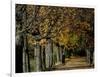 A Man Strolls Through Lazienki Park on a Crisp Autumn Morning in Warsaw, Poland, October 30, 2006-Czarek Sokolowski-Framed Photographic Print