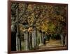 A Man Strolls Through Lazienki Park on a Crisp Autumn Morning in Warsaw, Poland, October 30, 2006-Czarek Sokolowski-Framed Photographic Print