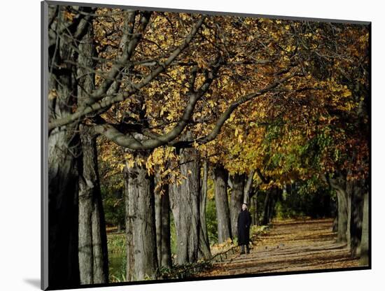 A Man Strolls Through Lazienki Park on a Crisp Autumn Morning in Warsaw, Poland, October 30, 2006-Czarek Sokolowski-Mounted Photographic Print