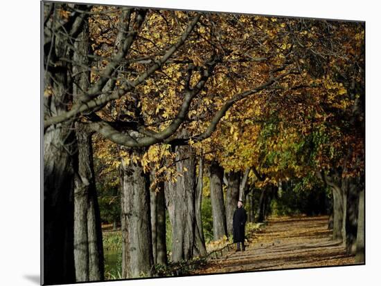 A Man Strolls Through Lazienki Park on a Crisp Autumn Morning in Warsaw, Poland, October 30, 2006-Czarek Sokolowski-Mounted Photographic Print