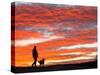 A Man Walks His Dog Under a Red Sky-null-Stretched Canvas