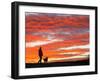 A Man Walks His Dog Under a Red Sky-null-Framed Photographic Print