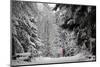 A Man Walks in the Snow on a Cold Winter Day in the Wood of Chalet-A-Gobet in Lausanne-Denis Balibouse-Mounted Photographic Print