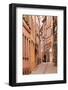 A Man Walks Through La Petite France-Julian Elliott-Framed Photographic Print