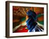 A Man, Wearing his Traditional Tuareg Turban, Stands in His Tent in Koygma-null-Framed Photographic Print