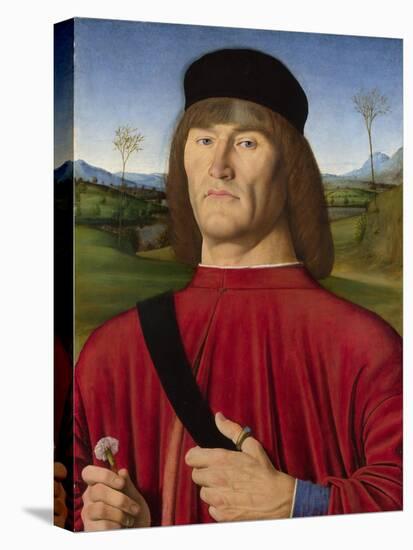 A Man with a Pink, C. 1495-Andrea Solari-Stretched Canvas