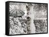 A Man with a Umbrella Walks by Snowy Trees During Heavy Snowfall-null-Framed Stretched Canvas