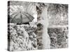 A Man with a Umbrella Walks by Snowy Trees During Heavy Snowfall-null-Stretched Canvas