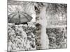 A Man with a Umbrella Walks by Snowy Trees During Heavy Snowfall-null-Mounted Photographic Print