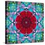 A Mandala from Flower Photographs and Water-Alaya Gadeh-Stretched Canvas