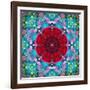 A Mandala from Flower Photographs and Water-Alaya Gadeh-Framed Photographic Print
