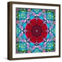 A Mandala from Flower Photographs and Water-Alaya Gadeh-Framed Photographic Print