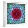 A Mandala from Flower Photographs and Water-Alaya Gadeh-Framed Photographic Print