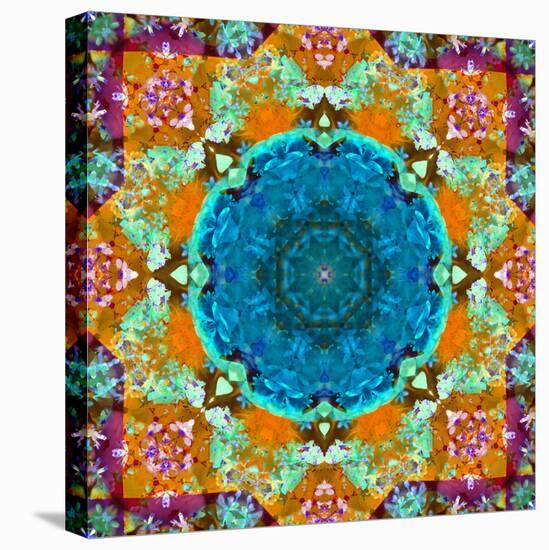 A Mandala from Flower Photographs and Water-Alaya Gadeh-Stretched Canvas