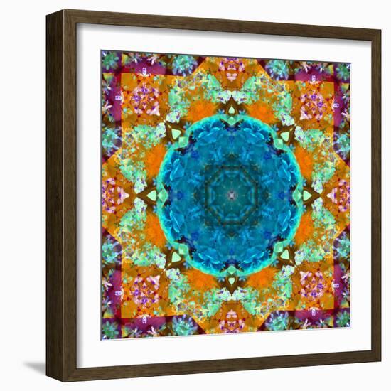 A Mandala from Flower Photographs and Water-Alaya Gadeh-Framed Photographic Print