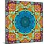 A Mandala from Flower Photographs and Water-Alaya Gadeh-Mounted Photographic Print