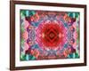 A Mandala from Flower Photographs-Alaya Gadeh-Framed Photographic Print