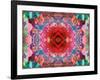 A Mandala from Flower Photographs-Alaya Gadeh-Framed Photographic Print