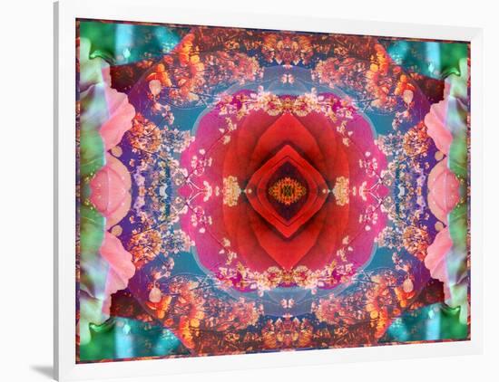 A Mandala from Flower Photographs-Alaya Gadeh-Framed Photographic Print