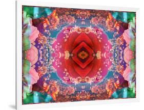 A Mandala from Flower Photographs-Alaya Gadeh-Framed Photographic Print