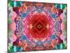 A Mandala from Flower Photographs-Alaya Gadeh-Mounted Photographic Print