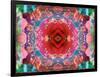 A Mandala from Flower Photographs-Alaya Gadeh-Framed Photographic Print