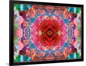 A Mandala from Flower Photographs-Alaya Gadeh-Framed Photographic Print