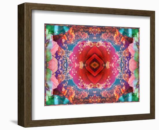 A Mandala from Flower Photographs-Alaya Gadeh-Framed Photographic Print