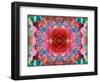 A Mandala from Flower Photographs-Alaya Gadeh-Framed Photographic Print