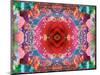 A Mandala from Flower Photographs-Alaya Gadeh-Mounted Photographic Print