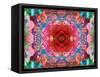 A Mandala from Flower Photographs-Alaya Gadeh-Framed Stretched Canvas